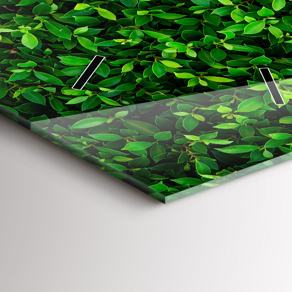 Vertikálne hodiny Živý plot odchádza