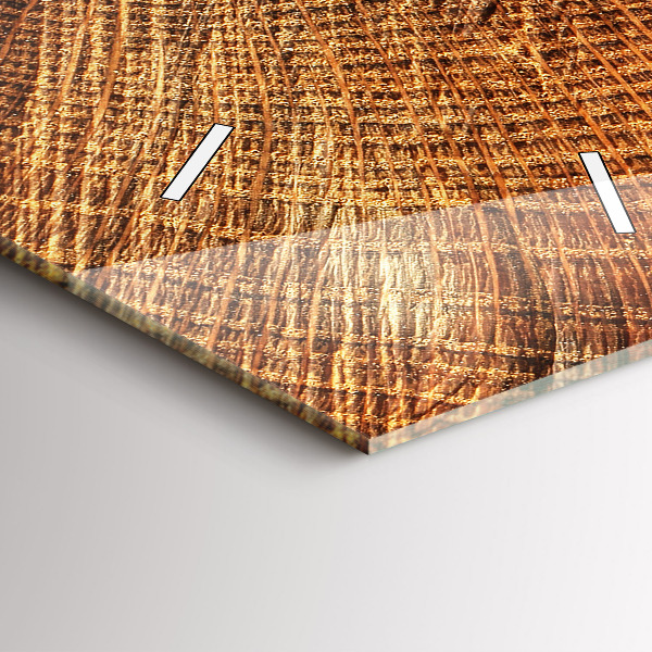 Vertikálne hodiny Starý kmeň stromu