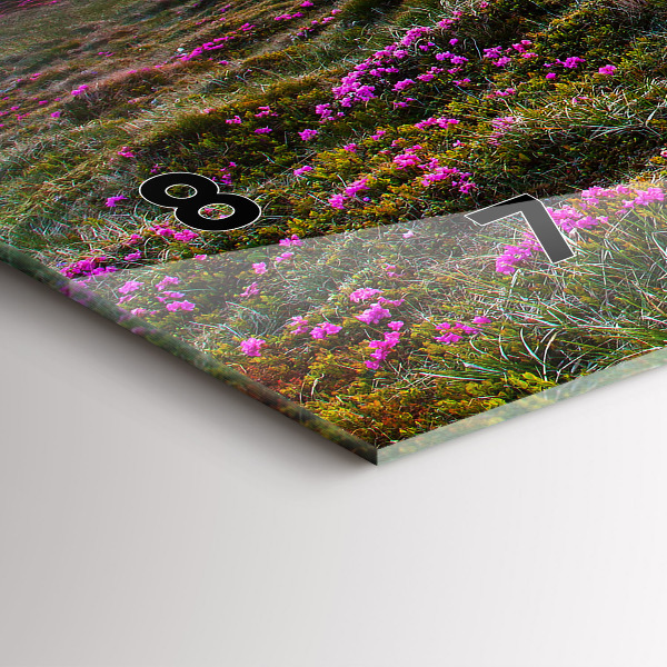 Horizontálne hodiny Kvety východu slnka