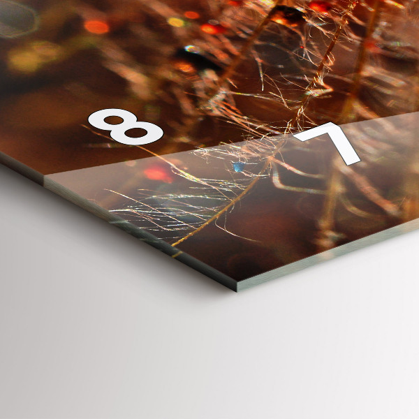 Horizontálne hodiny Púpava s rosou