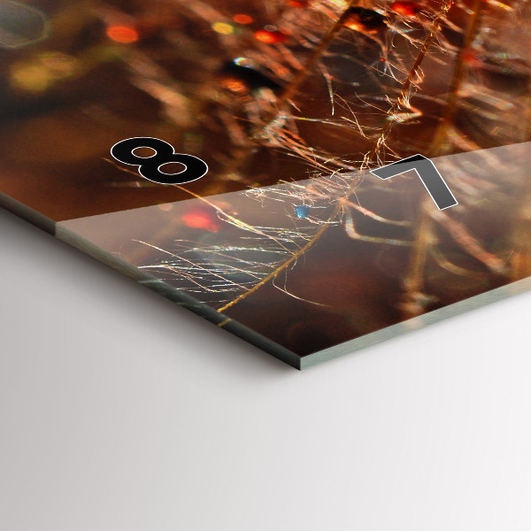 Horizontálne hodiny Púpava s rosou