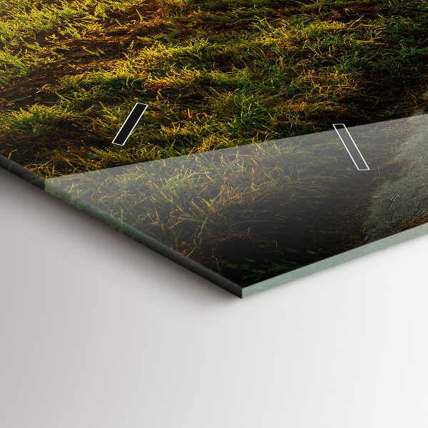 Horizontálne hodiny Hmla pri východe slnka