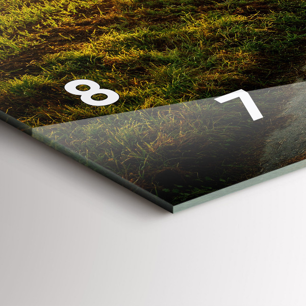 Horizontálne hodiny Hmla pri východe slnka