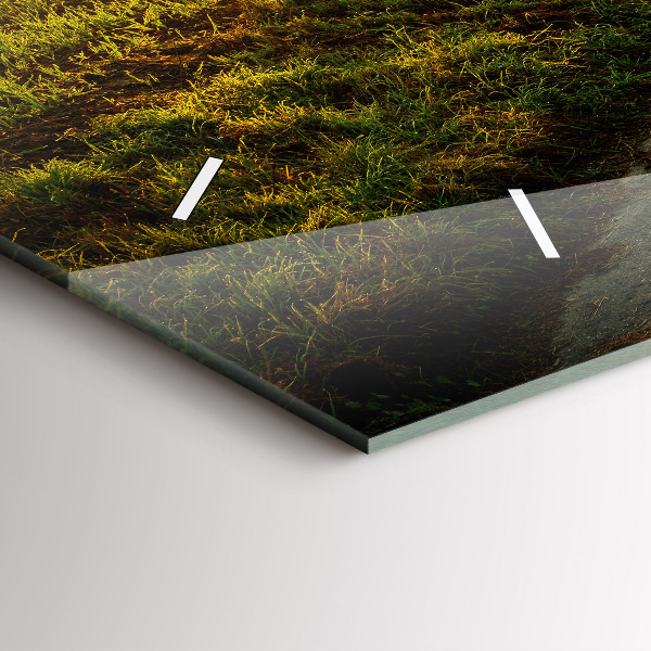 Horizontálne hodiny Hmla pri východe slnka