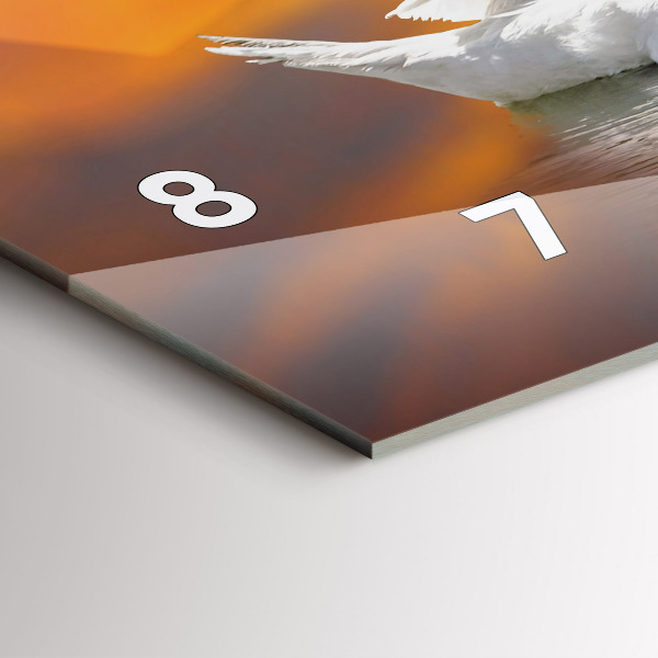 Horizontálne hodiny Zamilované labute