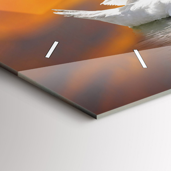 Horizontálne hodiny Zamilované labute