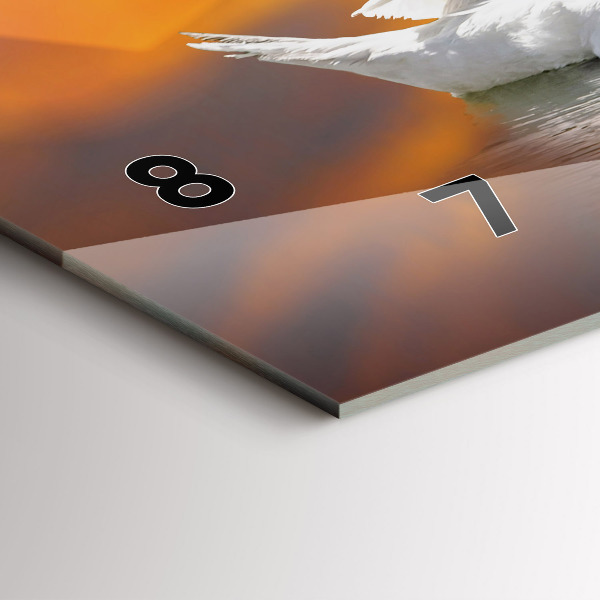 Horizontálne hodiny Zamilované labute