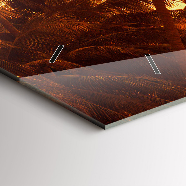 Horizontálne hodiny Slnečné palmy