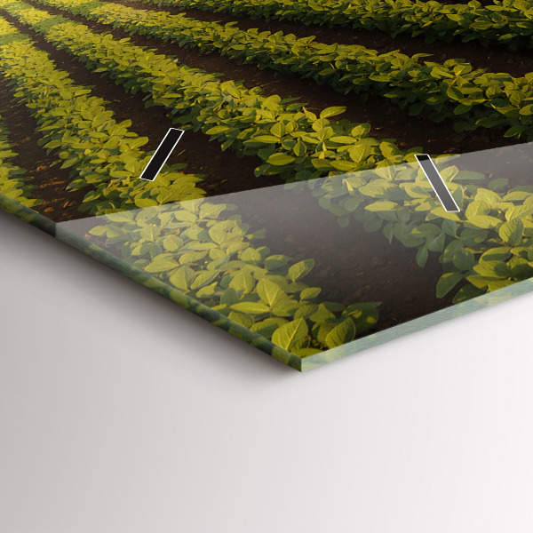 Horizontálne hodiny Traktor postrekuje pole