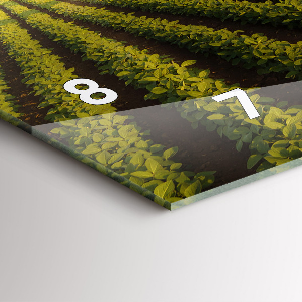 Horizontálne hodiny Traktor postrekuje pole