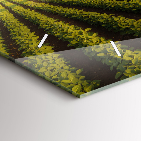 Horizontálne hodiny Traktor postrekuje pole