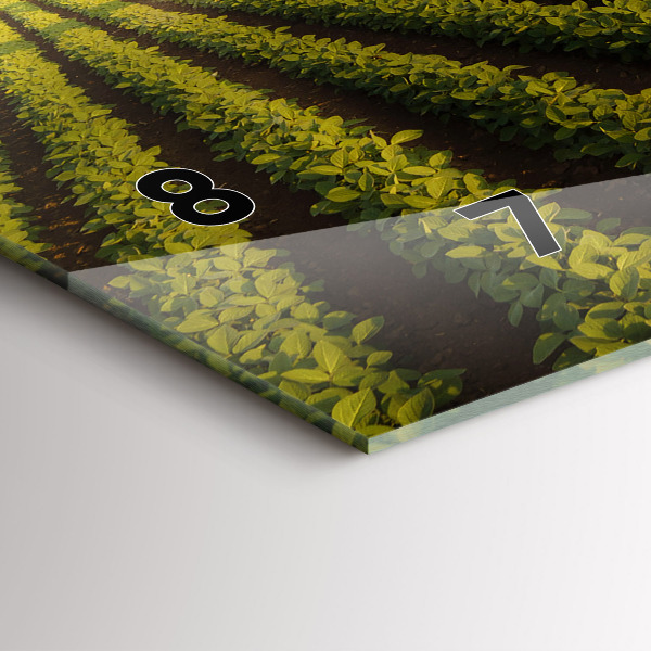 Horizontálne hodiny Traktor postrekuje pole