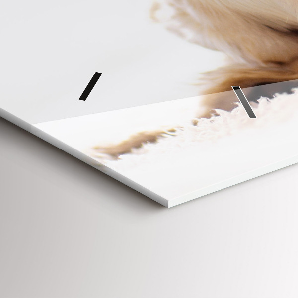 Horizontálne hodiny Spiaca mačka a pes