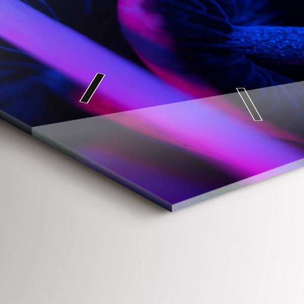 Horizontálne hodiny Magické farebné huby