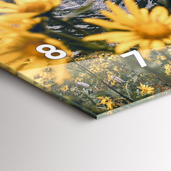 Horizontálne hodiny Lúka kvetov v horách