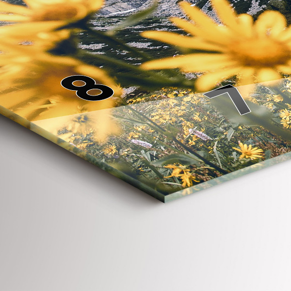 Horizontálne hodiny Lúka kvetov v horách