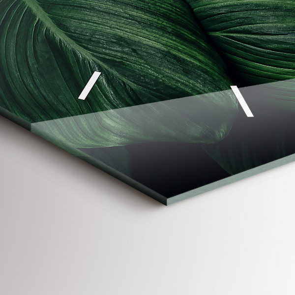 Horizontálne hodiny Tropické monštrum