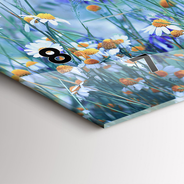 Horizontálne hodiny Motýľ na lúke