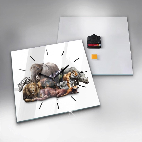 Štvorcové hodiny Divoké zvieratá