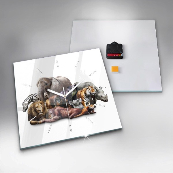 Štvorcové hodiny Divoké zvieratá