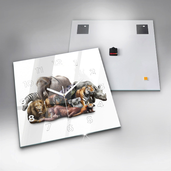 Štvorcové hodiny Divoké zvieratá