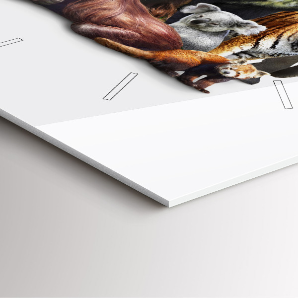 Štvorcové hodiny Divoké zvieratá