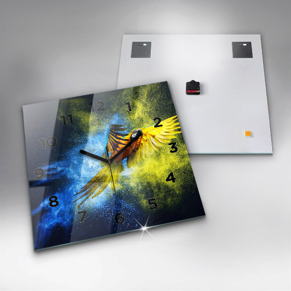 Štvorcové hodiny Farebný papagáj