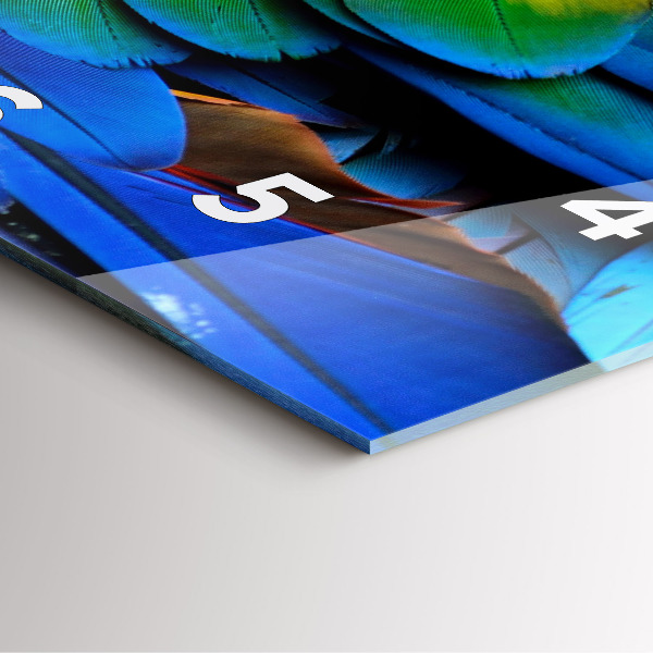 Štvorcové hodiny Farebné vtáčie krídla