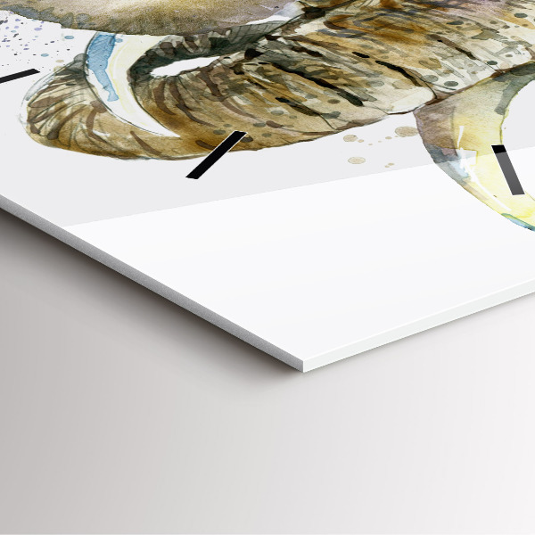 Štvorcové hodiny Maľované zvieratá slonov