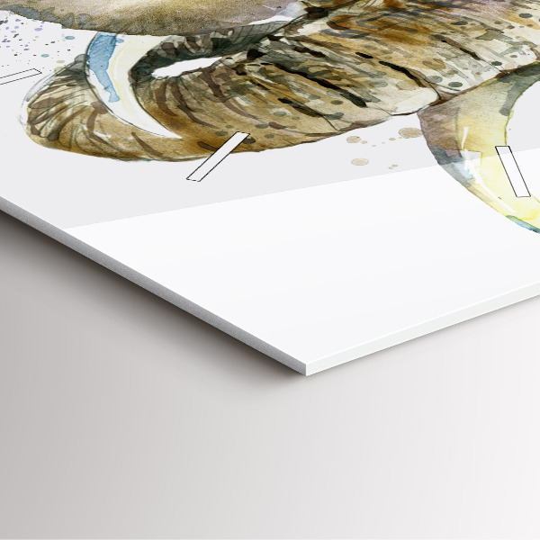 Štvorcové hodiny Maľované zvieratá slonov