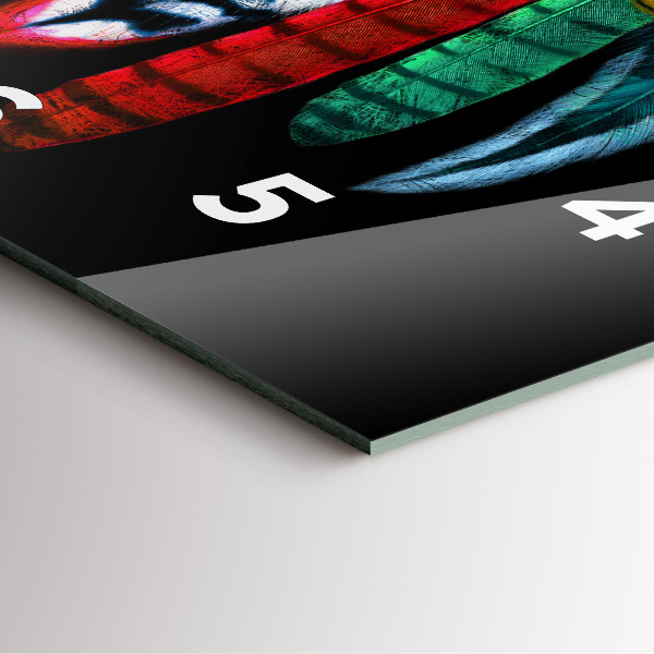 Štvorcové hodiny Farebné vtáčie perie