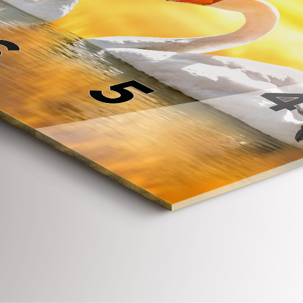 Štvorcové hodiny Zamilované labute