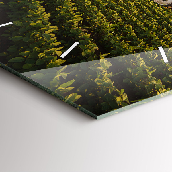 Štvorcové hodiny Traktor v poľnohospodárskej oblasti