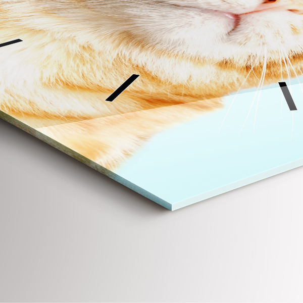 Štvorcové hodiny Vtipná mačka s okuliarmi