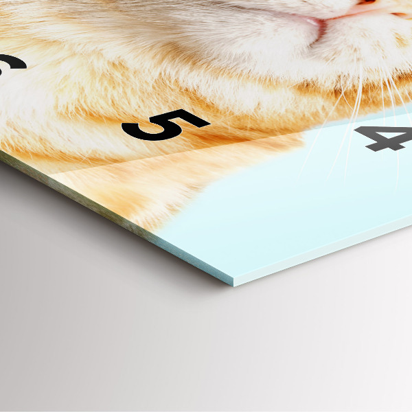 Štvorcové hodiny Vtipná mačka s okuliarmi