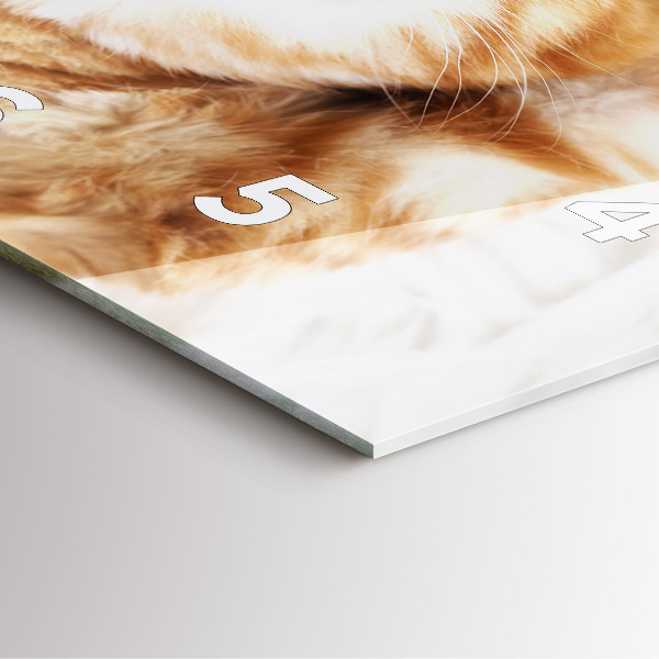 Štvorcové hodiny Spiace malé mačiatko