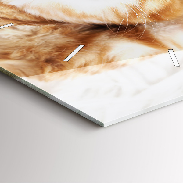 Štvorcové hodiny Spiace malé mačiatko