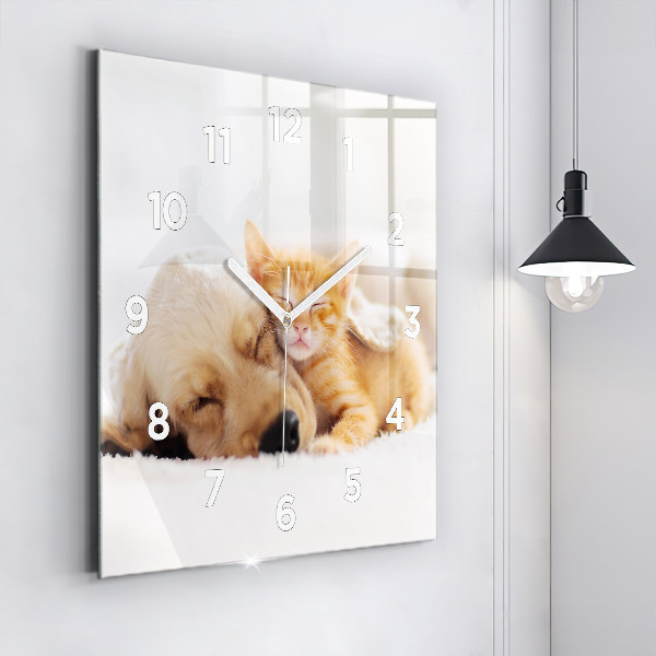 Štvorcové hodiny Spiaca mačka a pes