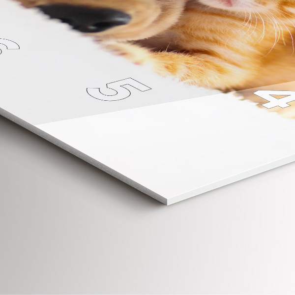 Štvorcové hodiny Spiaca mačka a pes