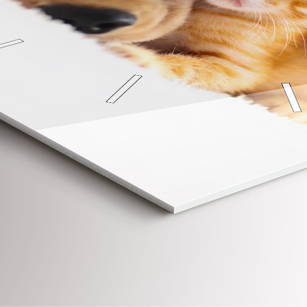 Štvorcové hodiny Spiaca mačka a pes