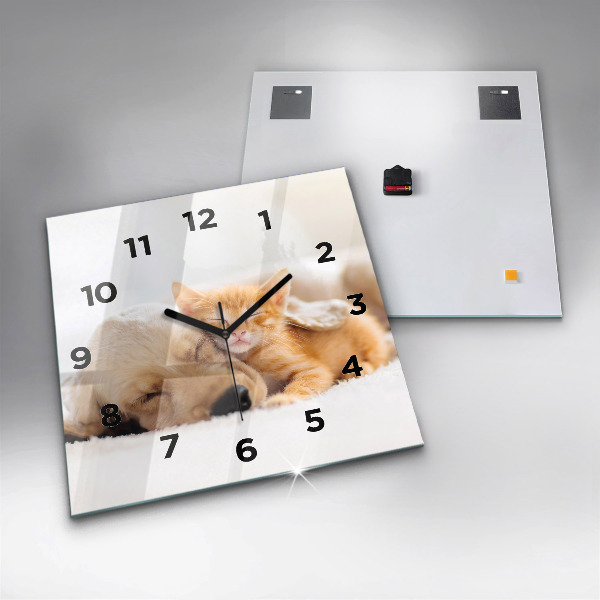 Štvorcové hodiny Spiaca mačka a pes