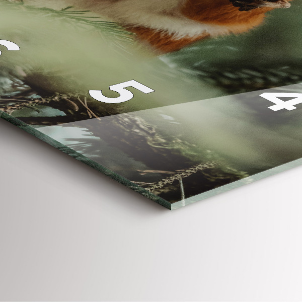 Štvorcové hodiny Veverička a divoká príroda