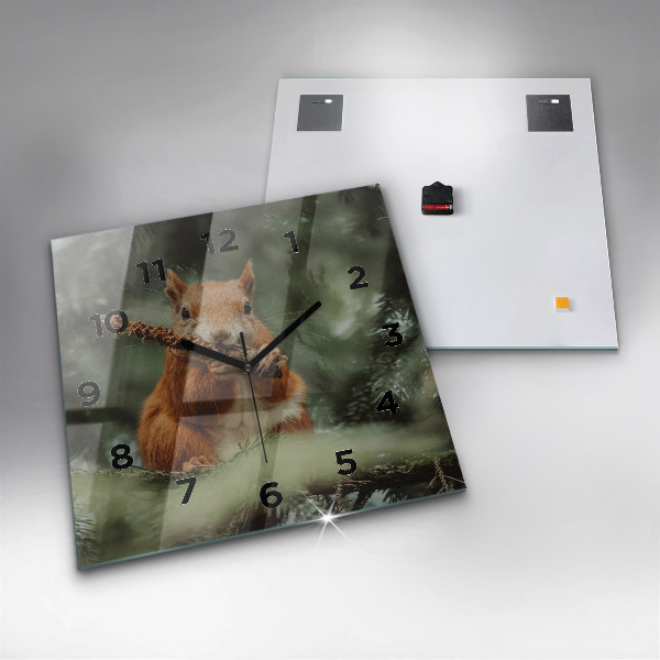 Štvorcové hodiny Veverička a divoká príroda