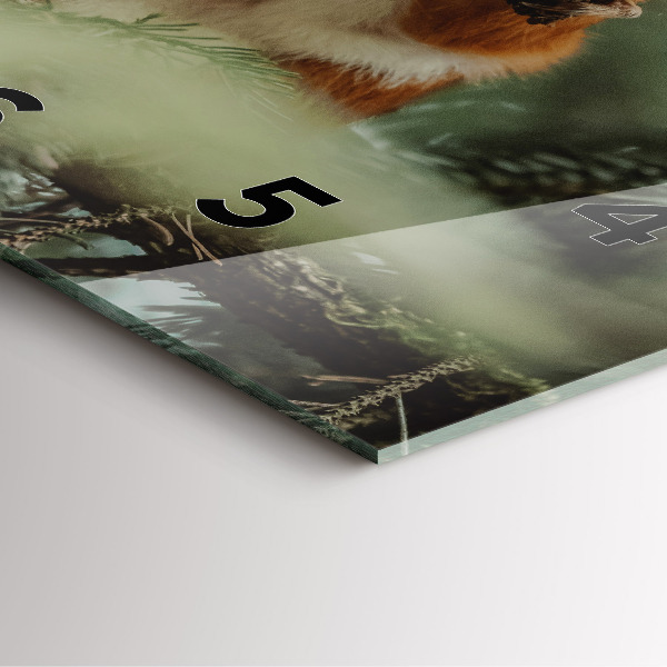 Štvorcové hodiny Veverička a divoká príroda