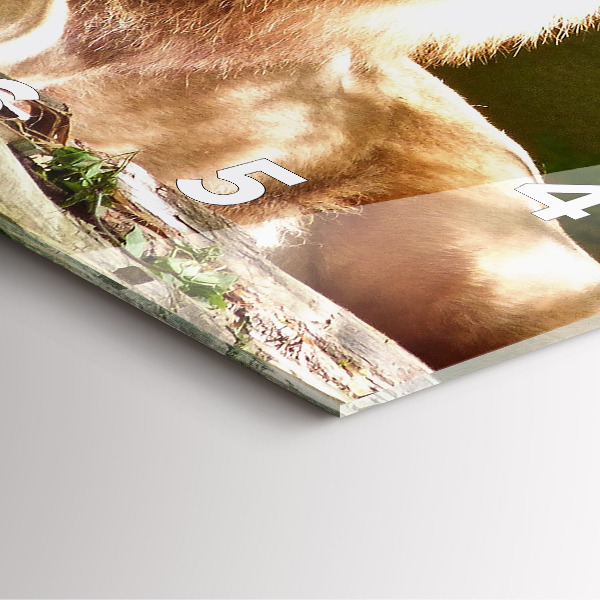 Štvorcové hodiny Portrét leva