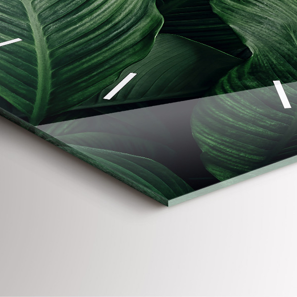 Štvorcové hodiny Tropické monštrum