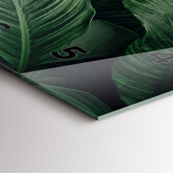 Štvorcové hodiny Tropické monštrum