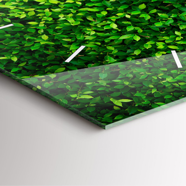 Štvorcové hodiny Živý plot odchádza