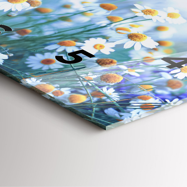 Štvorcové hodiny Motýľ na lúke