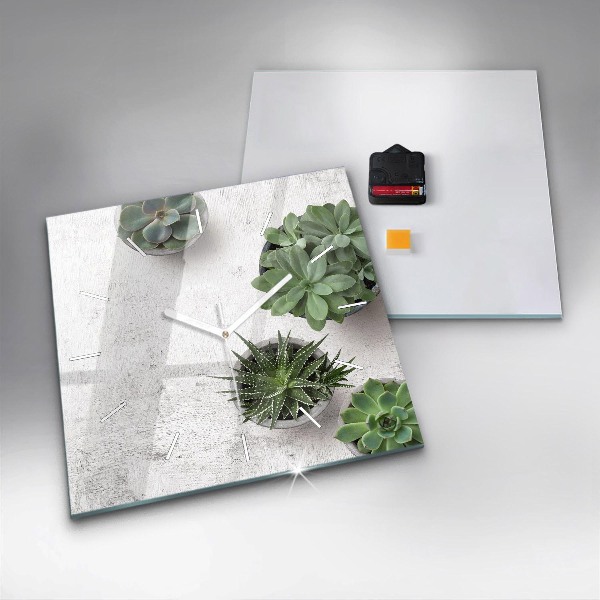 Štvorcové hodiny Dekoratívne rastliny